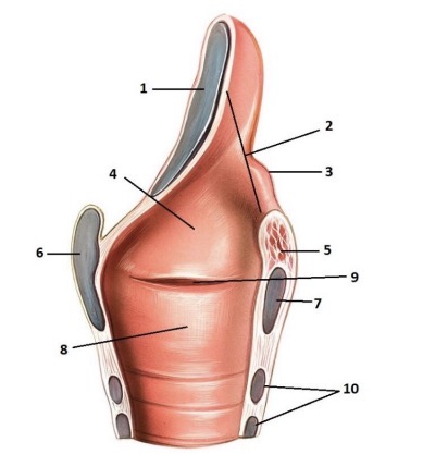 <p>6</p>