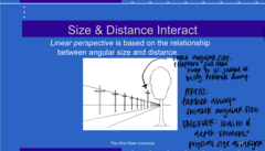 <p>How Size and Distance Interact (Pic)</p>