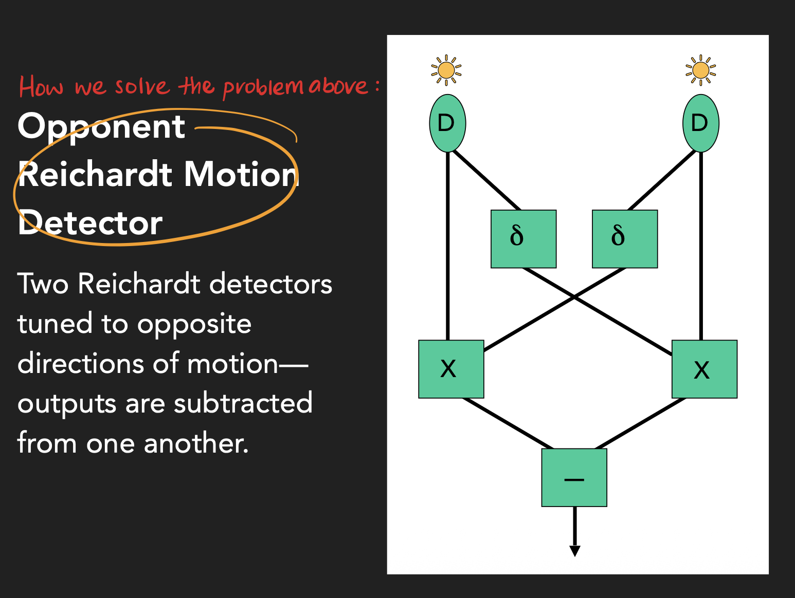 <h2 id="a0fe954b-0755-490a-a926-45b65730d4eb" data-toc-id="a0fe954b-0755-490a-a926-45b65730d4eb" collapsed="false" seolevelmigrated="true">We use an Opponent Reichardt Motion Detector</h2><p>This detector is tuned for the same speed, but different directions. Therefore, no matter what direction the stimulus comes from, the detector can accurately detect it as the outputs get subtracted from one another. </p><p></p><p>*unlike the simple motion detector, we won’t perceive flashing lights as moving since both detectors will activate the same amount and their outputs will cancel each other out to 0 (thus, telling us there is no motion).  </p>