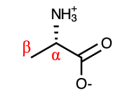 <p>Alanine</p>
