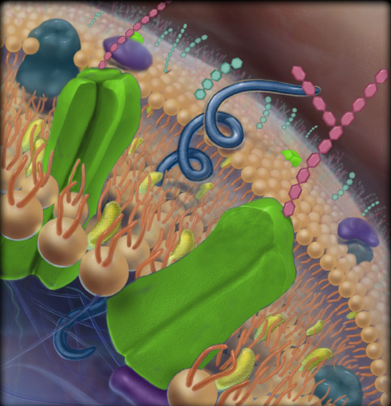 <p>part highlighted in neon green</p>