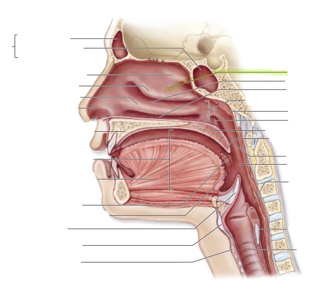 <p>what is this </p>