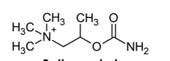 <p>[DRUGS FOR PARASYMPATHETIC SYSTEM]<br>a. Carbachol</p><p>b. Bethanechol</p><p>c. Methacholine</p>