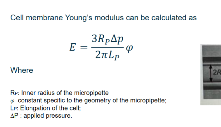 <p>E=(2Rpp/2piLp)w</p>