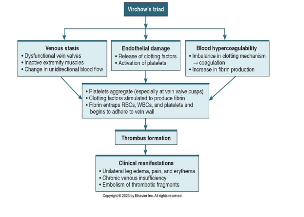 <p><span style="background-color: transparent; font-family: "Times New Roman", serif;"><strong>VTE SV DVT PE Prevention and Collaborative Care</strong></span></p>