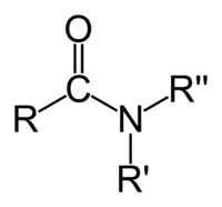 <p>R- C=O-N</p><p>Carbonyl (C=O)</p><p>Primary (1): Nitrogen only bonded to 1 Carbon</p><p>Secondary (2): Nitrogen bonded to 2 Carbons</p><p>Tertiary (3): Nitrogen bonded to 3 Carbons</p>
