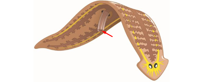 <p>what ? define?</p>