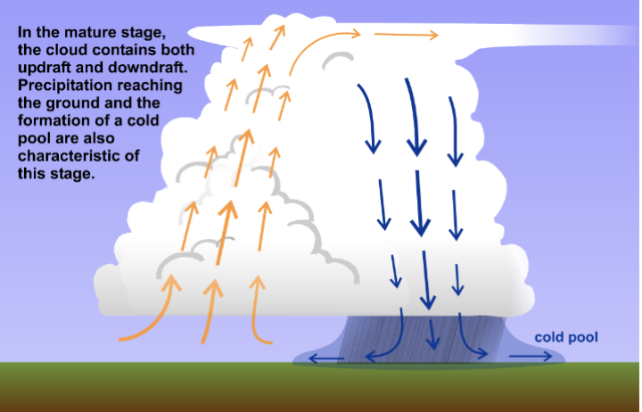 <p>_____ ____ are storm-scale cold air masses</p>