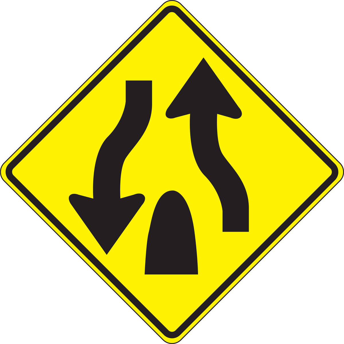 term image