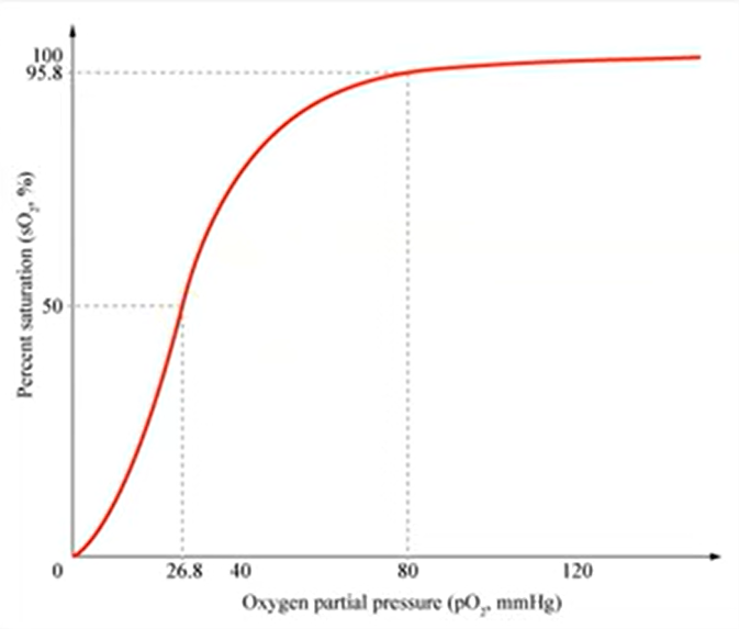 <p>explain oxyhaemoglobin dissociation curve </p>
