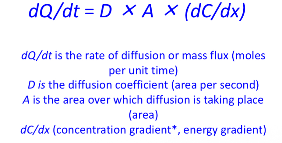 <p>The Fick equation quantifies the rate of </p><p>diffusion through a tissue sheet.</p>