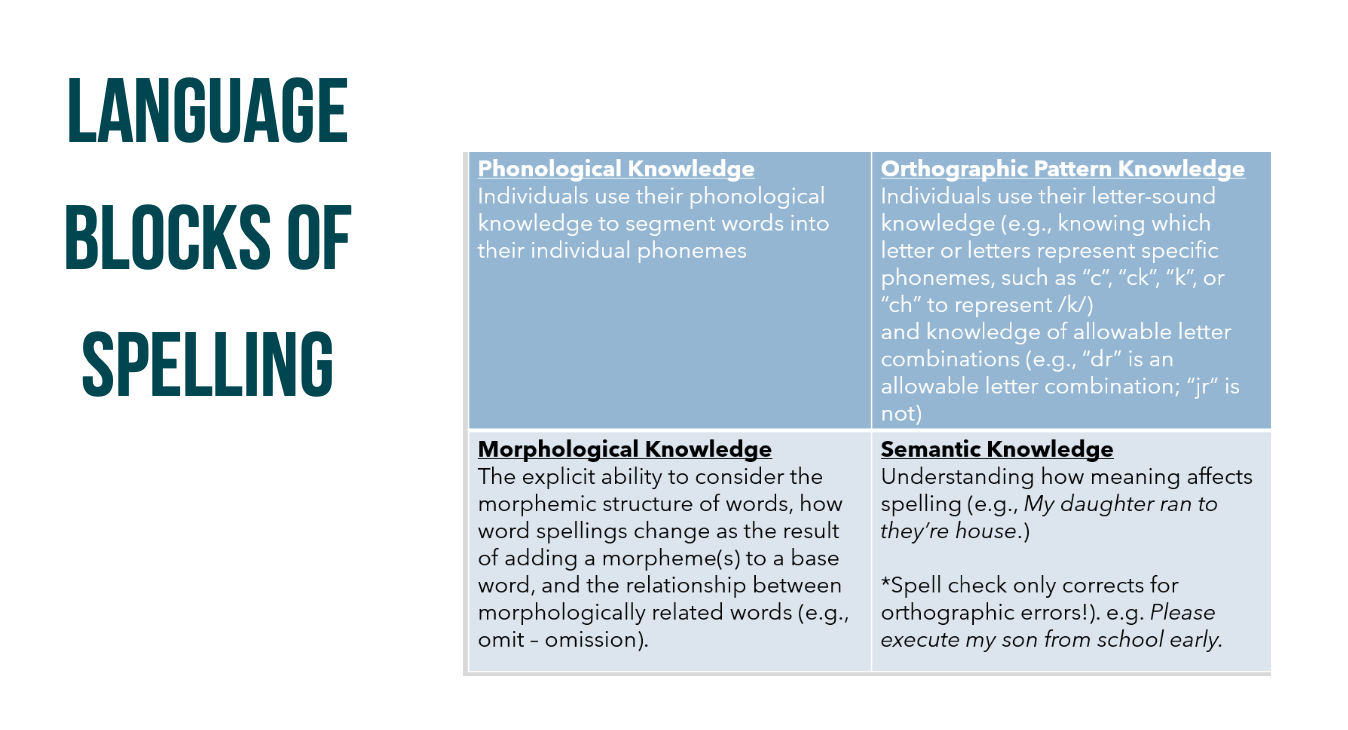 <ol><li><p><strong>Phonological awareness</strong></p></li></ol><p></p><ol start="2"><li><p><strong>Orthographic knowledge</strong></p><ol><li><p><strong>orthographic pattern awareness</strong></p></li><li><p><strong>mental grapheme awareness</strong></p></li></ol></li></ol><p></p><ol start="3"><li><p><strong>Morphological awareness</strong></p></li></ol><p></p><ol start="4"><li><p><strong>semantic awareness</strong></p></li></ol><p></p>