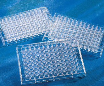 <p>Microtiter plate</p>
