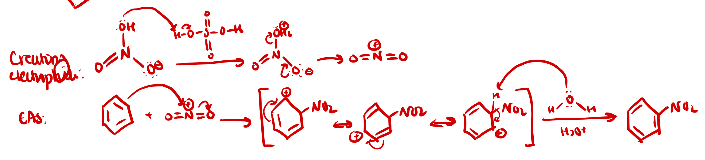 <p>*NO2 is neutral on the atom, despite seeming negative</p>