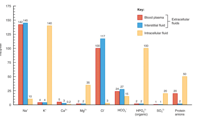 <p>dissolved particles in body fluids, electrically charged, ions with opposite charges attract, (mEq/liter), blood plasma, interstitial fluid and intracellular fluids have different conc of elecrolytes and protiens, (blood plasma has many proteins while interstitial fluid has few</p>