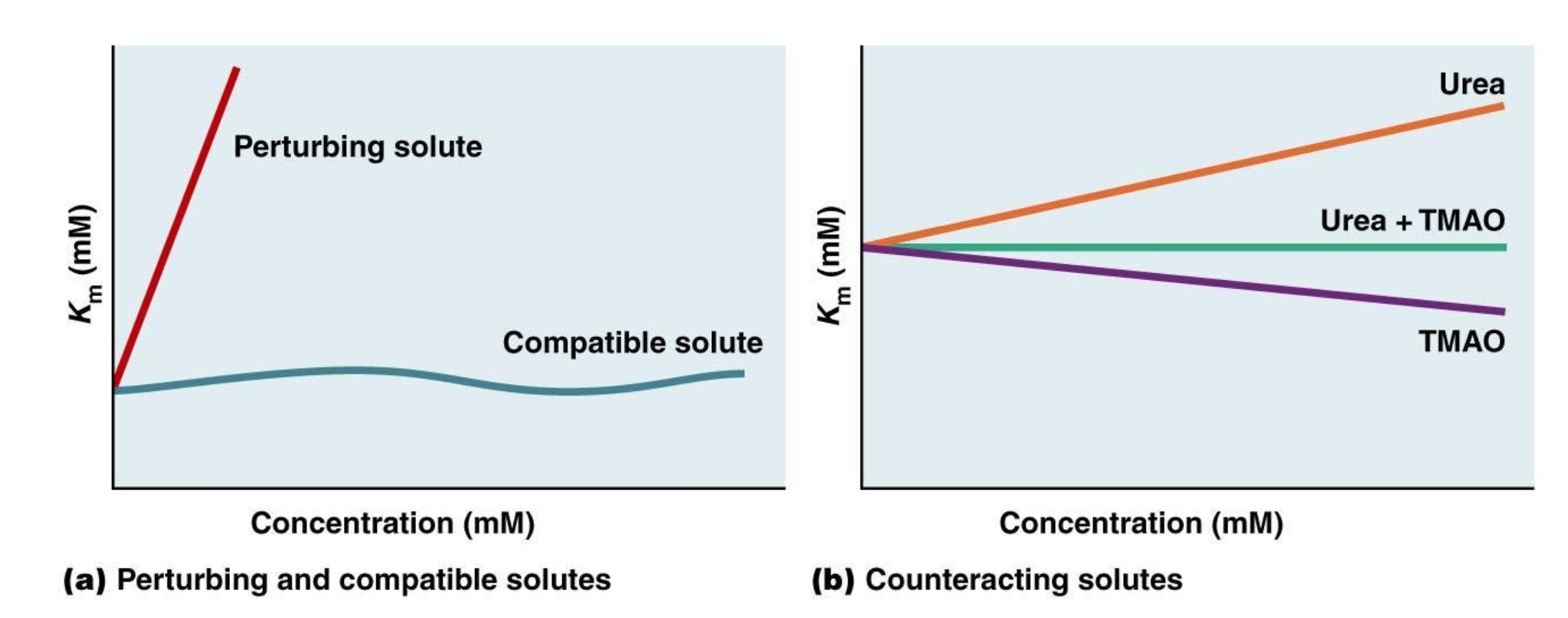 <ol><li><p>perturbing - DISRUPTS macromolecular function. eg. Na+, K+, Cl–, SO4+, charged amino acids</p></li><li><p>compatible - LITTLE EFFECT on macromolecular function. eg. glycerol, glucose, and uncharged amino acids</p></li><li><p>counteracting - disrupts function on their own, but effects COUNTERACT when used in conjunction eg. urea + TMAO</p></li></ol><p></p>