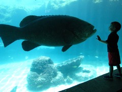 <p>huge, giant, immense</p>