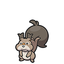 <p>Raffel</p>