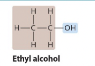 <p>It contains an -OH</p>