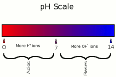 <p>A substance that decreases the hydrogen ion concentration in a solution.</p>