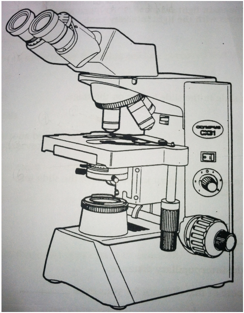 <p>function of main light switch</p>