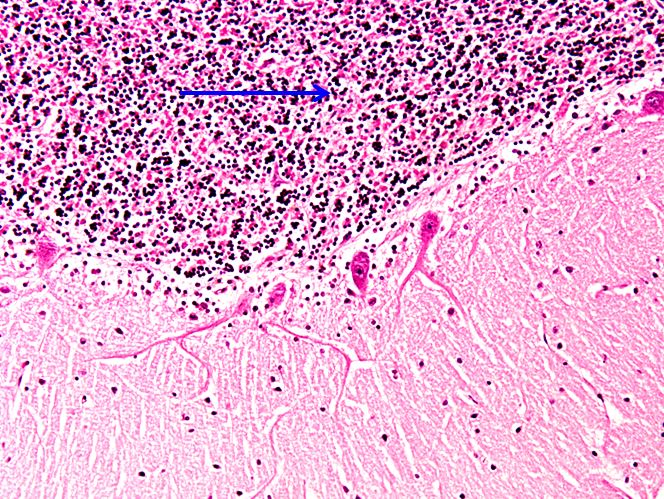 <p>Cấu trúc gì ?</p>