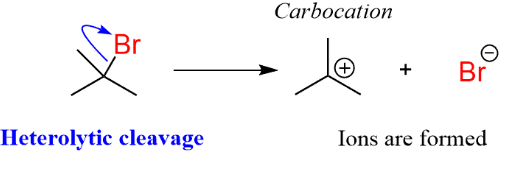 <p>The bond breaks, Both electrons go to ONE atom, you will have a cation (+) and an anion (-). This is a polar reaction, and produces a carbocation and a halide ion.</p>