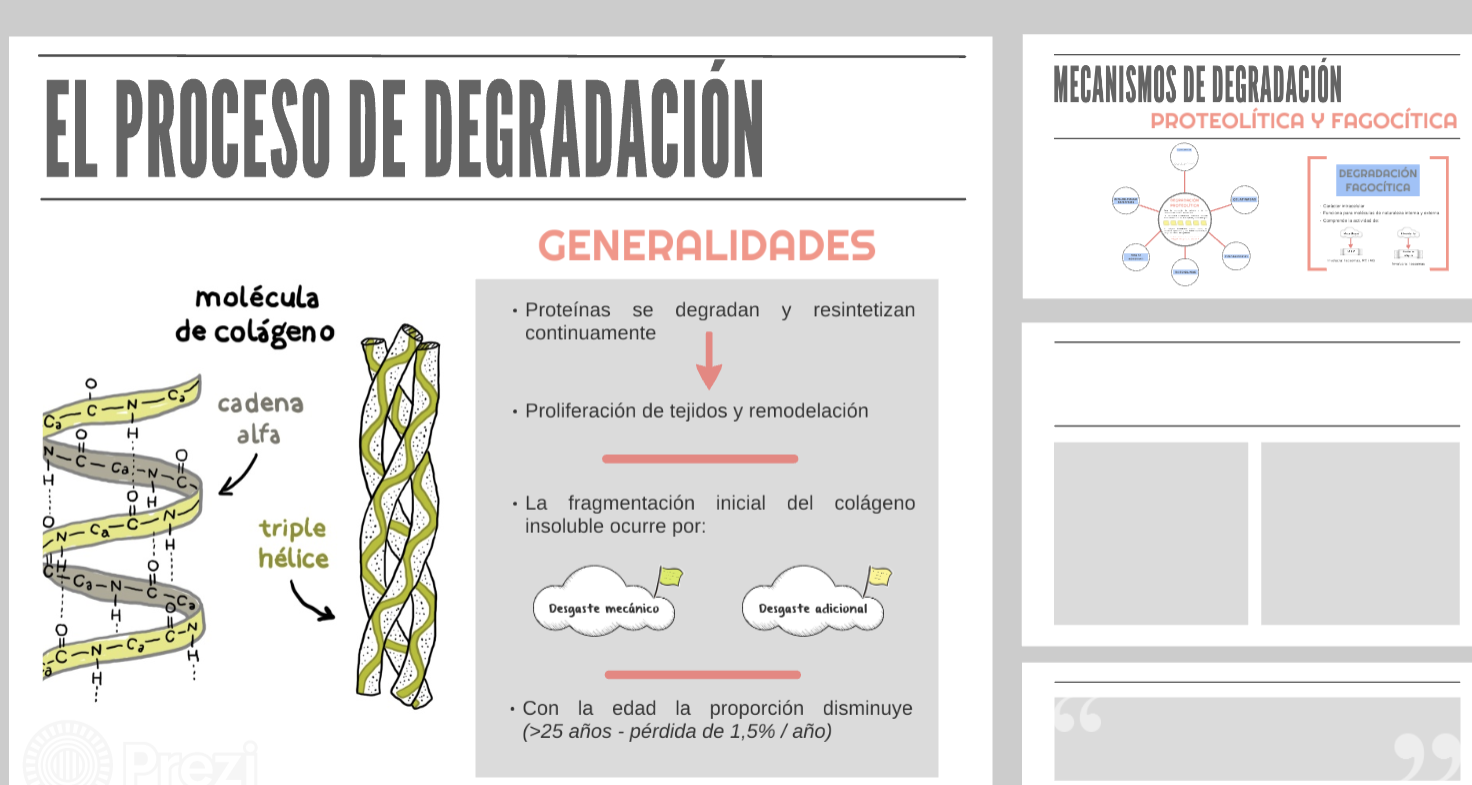 <p><strong>MECANISMOS DEGRADANTES DE COLÁGENO.</strong></p>