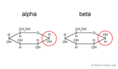 <p>subset of epimers that are sugars</p>