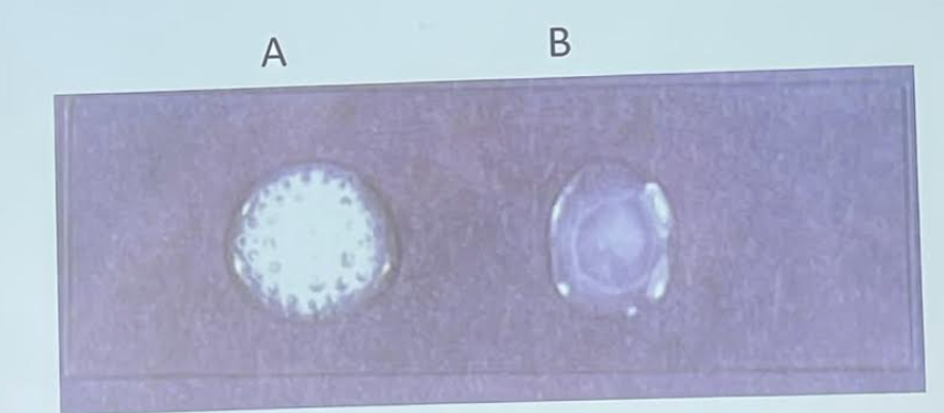 <p>What is the test name, purpose, application, media, theory and everything else about it?</p>