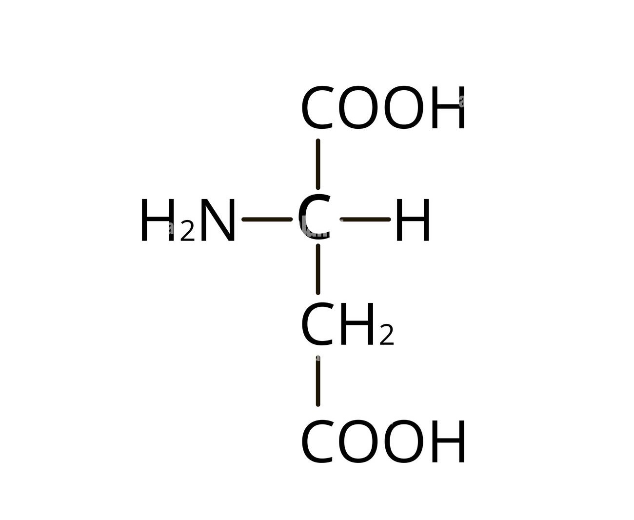 <p>name the following amino acid</p>