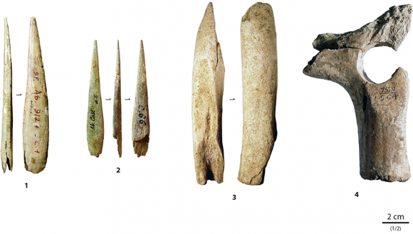 <p>Long thin blades made of bone/ivory for fishing weights from 43 kya</p>