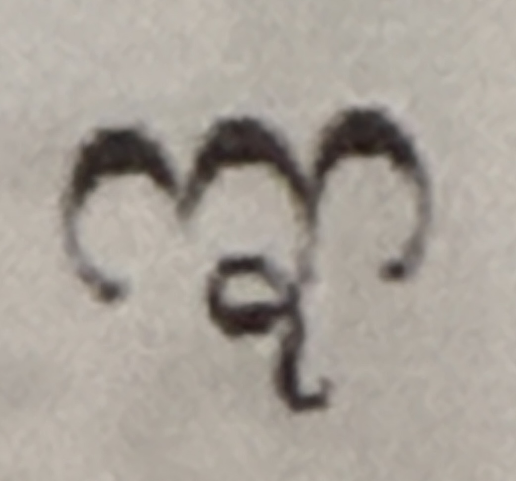 term image