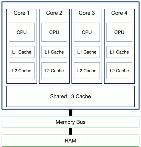 <ul><li><p>Each core can have its own cache</p></li><li><p>Cores may also share cache</p></li><li><p>Cache improves speed by storing frequently used data</p></li></ul><p></p>