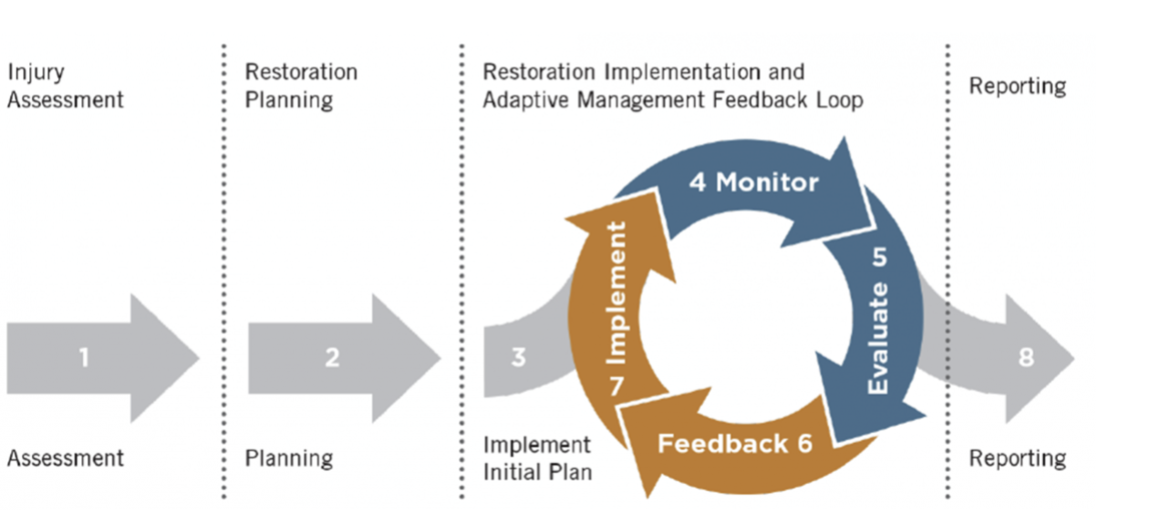 <p>State game agencies – research and regulations</p><p>• Adaptive management</p><p>• Cooperative Research Units</p><p></p>