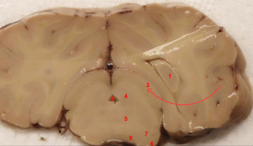 <p>what is this </p>