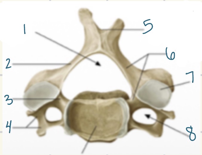 <p>1</p>