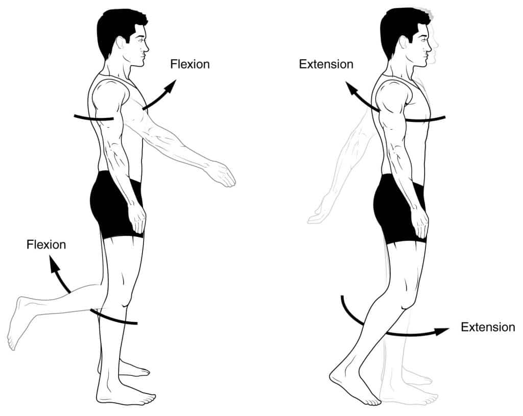 <p>Extension</p>