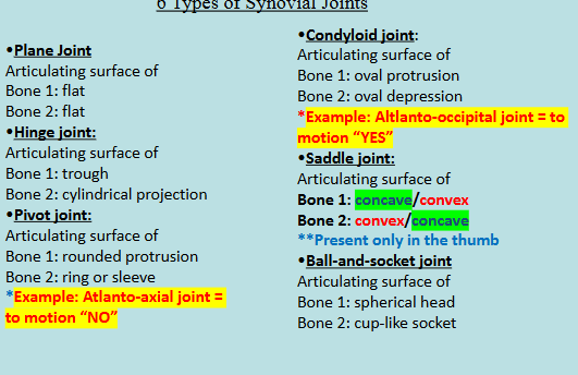<p>Synovial Joint Summaries</p>