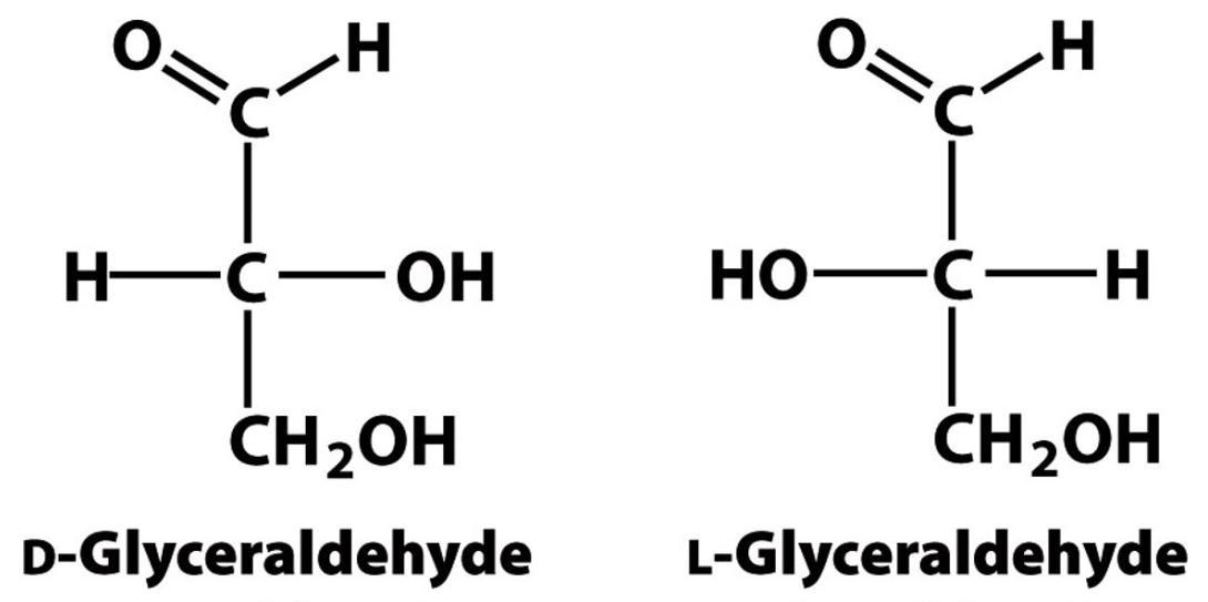 <p>Identify the monosaccaride based on its structure.</p>
