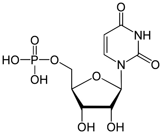 <p>CHONPS</p><p>Carbon, Hydrogen, Oxygen, Nitrogen, Phosphoros, Sulfur</p>