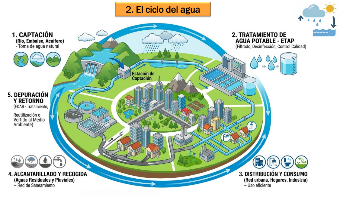 <ol><li><p>Captación → de donde saco el agua para mi ciudad. Río, embalse, acuífero, etc.</p></li><li><p>Transporte → como hago que el agua legue a mi ciudad. Acueductos - Canales - Caños → del embalse a planta potabilizadora. ( en Bahía Blanca hay acueductos subterráneos)</p></li><li><p>Potabilización → proceso de tratamiento</p></li><li><p>Distribución → red de tuberías con conexión a las viviendas, industrias, etc</p></li></ol><p>La conexión de agua potable a partir de la línea municipal es responsabilidad del usuario, con la caja del medidor disponible para la empresa prestadora. El gobierno tiene la responsabilidad de que la red pase por delante de mi vivienda.</p><ol start="5"><li><p>Evacuación </p></li></ol><p></p>