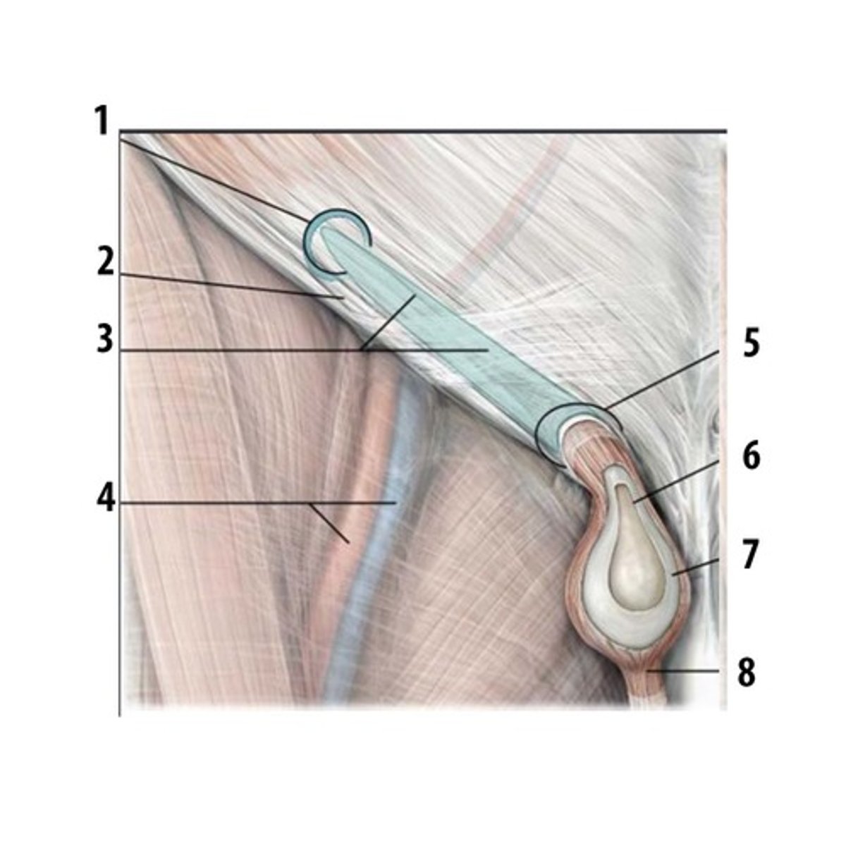 <p>#1</p>