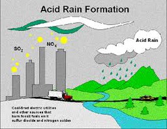 <p>Some pollutants combine with water, oxygen, and other chemicals in the atmosphere to form acids, which precipitate and cause damage to surfaces</p>