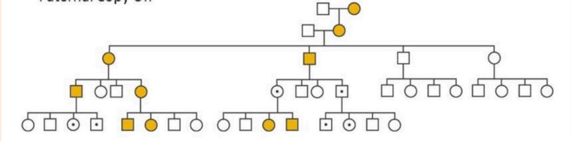 <p>What is this an example of?</p>