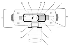 <p>Identify L</p>