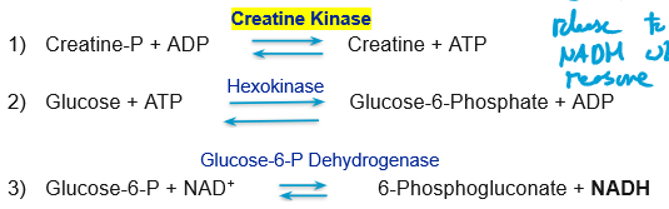 <p>Measurement: Creatine P to creatine + ATP, leads to NADH with 2 enzymes</p><p>Error: Hemolysis</p>