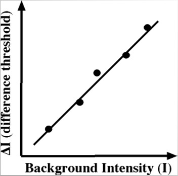 <p>State Weber's law</p>