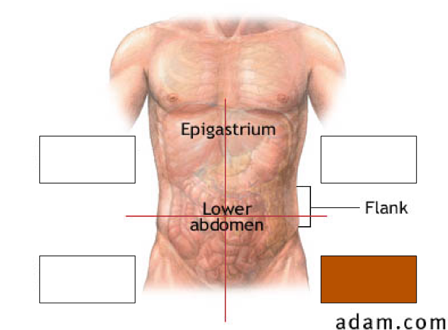 <p>lower left quadrant contains (4)</p>