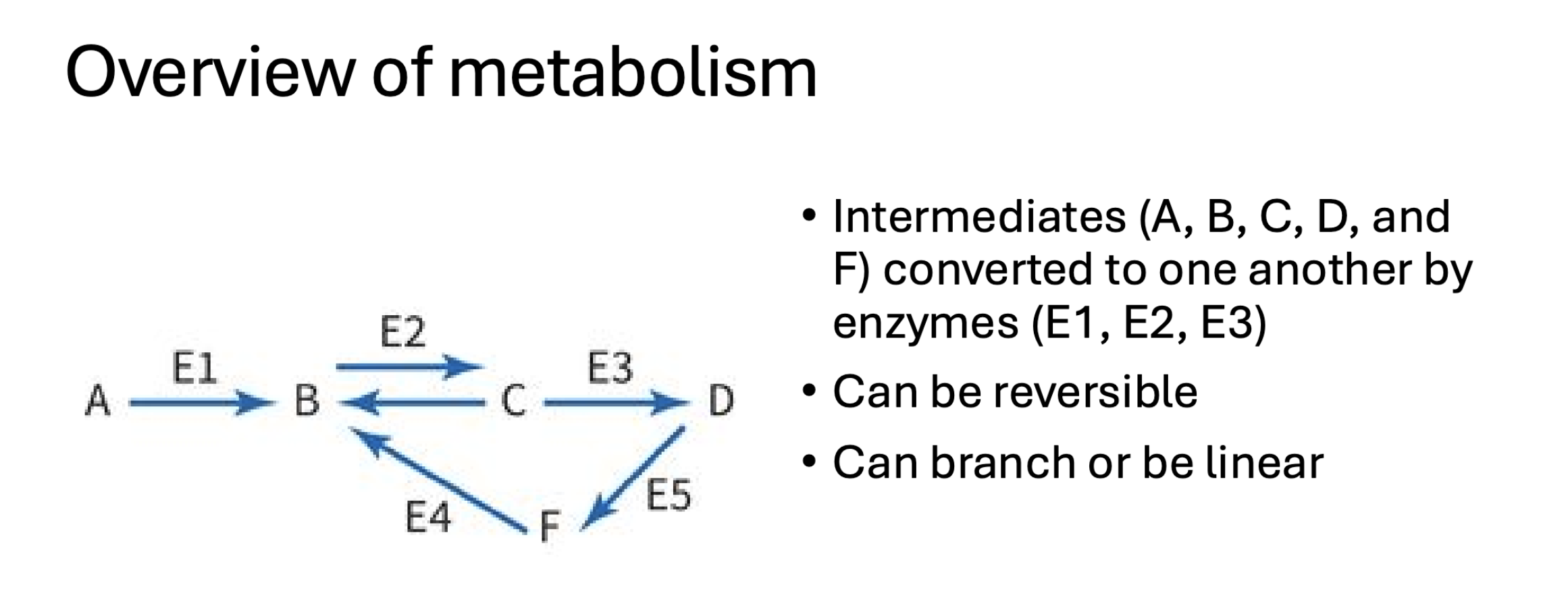 <p>Metabolism = total of all chemical rxns carried out by an organism (anabolism + catabolism)</p>